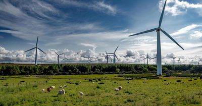MPs and MSPs commit to securing debates on Highland energy projects pause