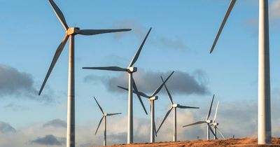 Wasted renewable energy could have powered all Scottish homes in 2025 so far