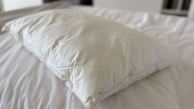 Is this New Zealand wool pillow the answer to naturally tackling night sweats?