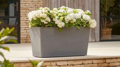 Wheeled Garden Planters are a Godsend for Tricky Plants You Want to Survive Summer *and* Winter — These Ones Look Great, Too