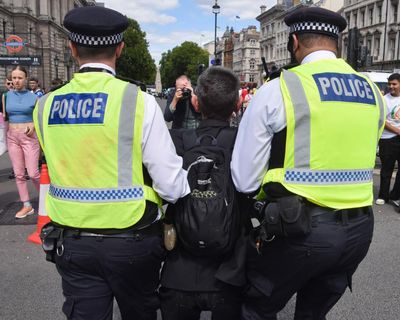 Next UK protest over Palestine Action ban aims to sign up 1,000 people