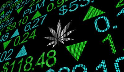 Organigram Posts Wider Loss, Eyes Profitability In Near Term