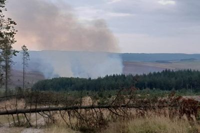 Major incident declared as firefighters battle large blaze in North York Moors Park
