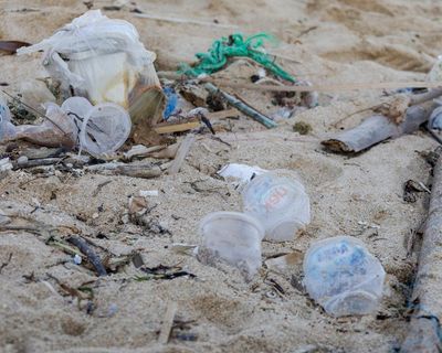 Talks stall on world’s first plastic pollution treaty one day before deadline