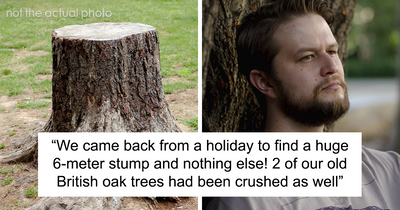 “Entitled Karen Chops Down My Tree, Costs Her £500,000”