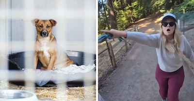 Unhinged ‘Karen’ Explodes At Man Walking His Dog, Then Accuses Him Of Harassment After Being Filmed