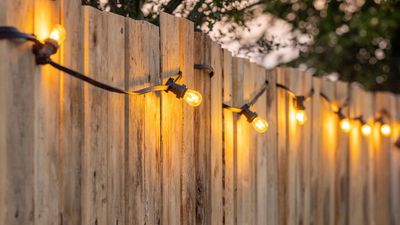 Hanging fairy lights on your fence? Experts warn of the legal rules you need to know first