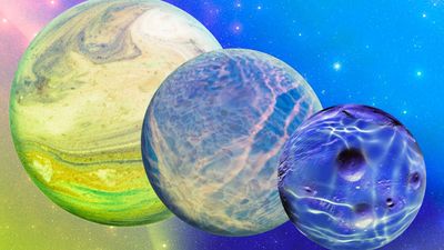 Is water really a necessary ingredient for life? Aliens may swim in truly exotic pools