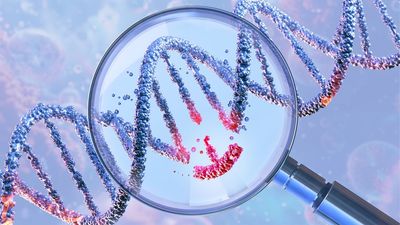 Diabetic man produces his own insulin after gene-edited cell transplant
