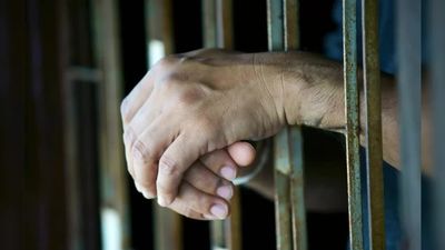 Mexico Extradites 26 Cartel Members Amid Pressures from Trump Admin. Experts Warn More May Come.