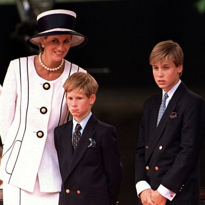 Royal Experts Claim Prince Harry and Prince William Are United in One Respect, Influenced by Their Late Mother, Princess Diana