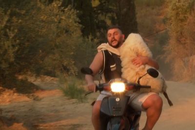 Farm animals and pets rushed to safety as Greek wildfire plagues port city