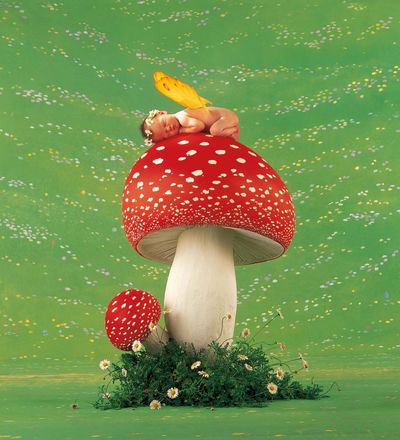 ‘We popped the baby in a flowerpot!’ Anne Geddes on the beloved photos that made her famous