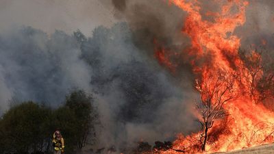 Spain seeks EU help as wildfires kill three and force thousands to flee