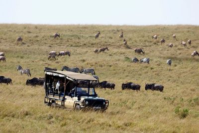 Activists battle to block first-ever Ritz-Carlton safari lodge from opening