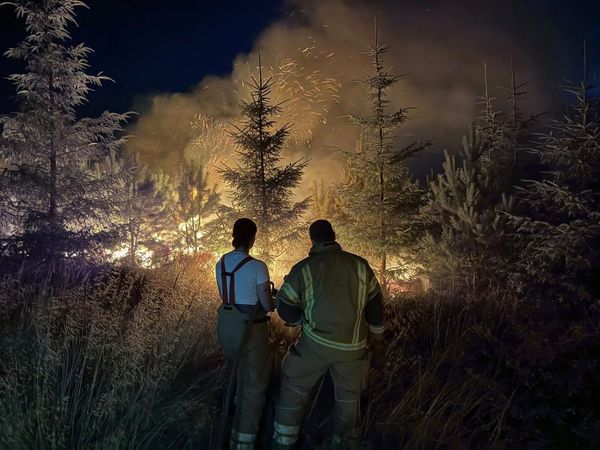 2025 on track to beat UK record for wildfires, warn firefighters