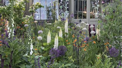 What's your zodiac flower? Discover which bloom you have a star sign connection to, plus tips on how to grow it in your yard