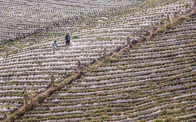 Why our broken food system remains a climate disaster: ‘broiling the planet to stuff our faces’