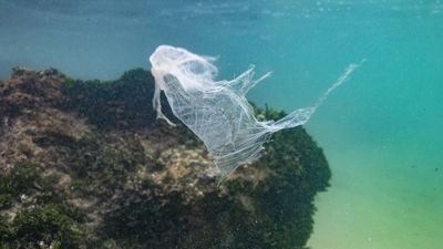 UN plastic pollution talks near collapse after draft text backlash