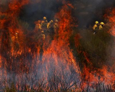 Wildfires claim third life in Spain as intense heat continues across Europe