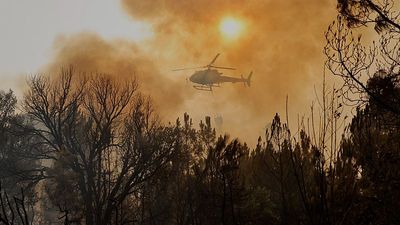 Requests for EU solidarity to battle wildfires at same level already as entire 2024 fire season