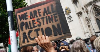 Arms firms lobbied for Palestine Action 'terrorists' label, files reveal