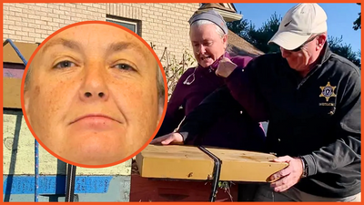 Woman turns into a real-life villain as she fights ‘eviction’ with a ‘swarm of bees’