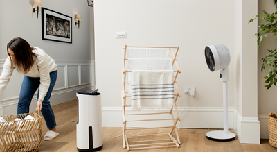I’m a fan expert – these are 3 fan launches from 2025 worth your time and money