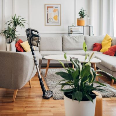 This is the one thing that’s killing your vacuum cleaner — and experts say we’re all guilty of doing it