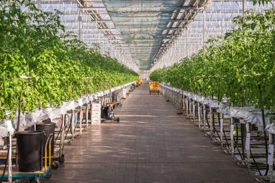 Why So Many Organic Certifications Are Under Fire