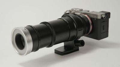 This US$399 macro lens gives you an incredible 1-5x magnification with built-in light – and the sample shots are just unreal
