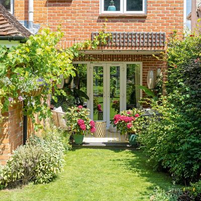 Mulch vs membrane – experts reveal the best way to keep weeds at bay in your garden