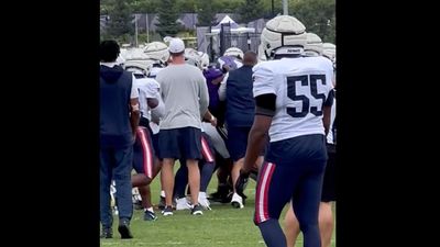 Mike Vrabel Got in the Middle of Training Camp Fight Between the Patriots and Vikings