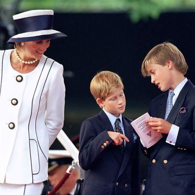 Princess Diana Always Said She Had Two Boys “For a Reason” — And It Explains Why the Royal Rift Would Have Devastated Her