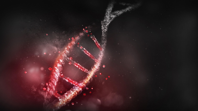 DNA has an expiration date. But proteins are revealing secrets about our ancient ancestors we never thought possible.