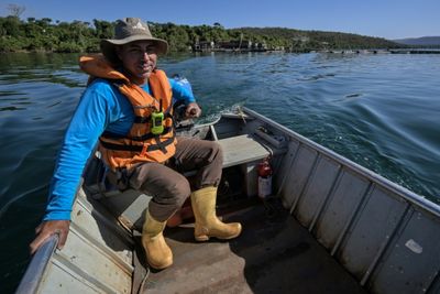 Trump's Tariffs Drown Brazil's Fish Industry