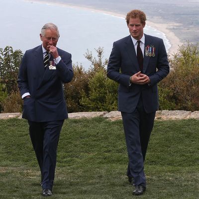 Prince Harry and King Charles Might Have a Face-to-Face Meeting Next Month