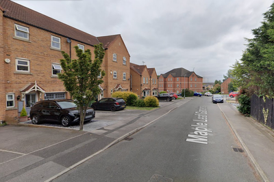 Two people seriously injured in ‘XL bully’ dog attack