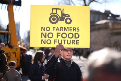 Tractor tax more likely to hit working farmers than wealthy landowners, think tank tells Reeves