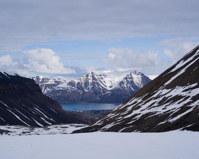 Arctic glaciers face ‘terminal’ decline as microbes accelerate ice melt