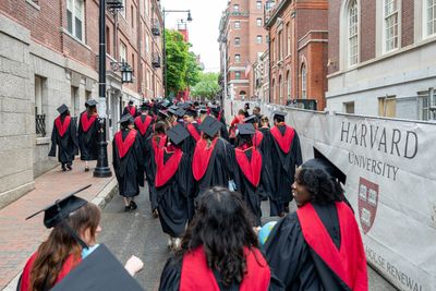 AI is gutting the next generation of talent: In tech, job openings for new grads have already been halved