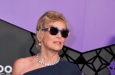 Sharon Stone back in 'lady underwear'