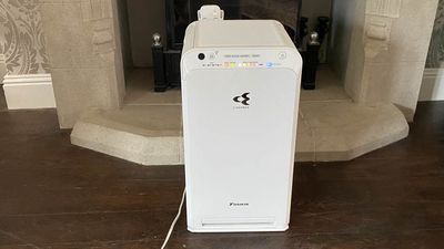 I used the Daikin Air Purifier MC55VB every day to keep dust and pollen at bay