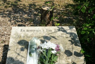 Macron condemns ‘antisemitic hatred’ after attackers chop down tree honoring murdered Jew