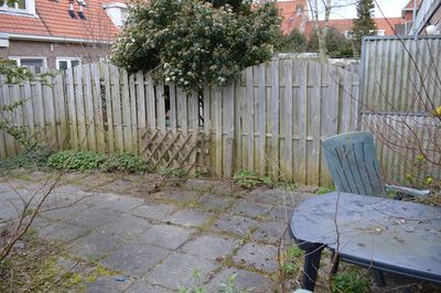 5 Things Growing in Your Yard That Could Get You Sued