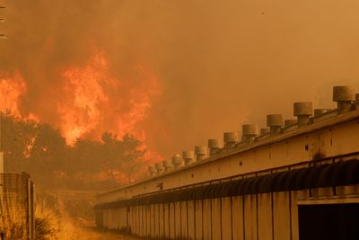 Seven people dead as wildfires spread across Spain