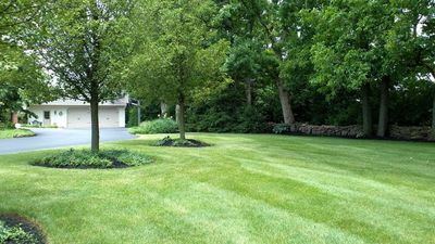 6 signs you have an unhealthy lawn – and how to fix the issues like a pro