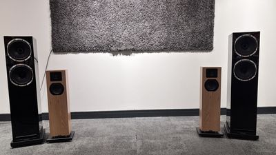 These rival floorstanders have impressed us in our test rooms – but for entirely different reasons