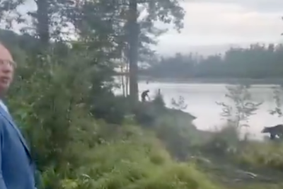 Putin’s envoy Dmitriev meets a bear in Alaska before US-Russia summit