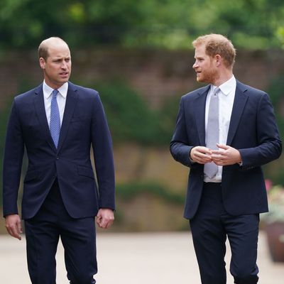 The Only Way Harry and William’s Rift Will Be Mended, According to Experts